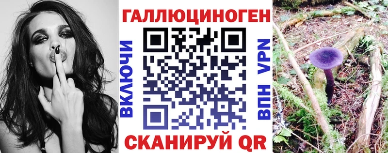 Псилоцибиновые грибы мицелий  Верхняя Тура 