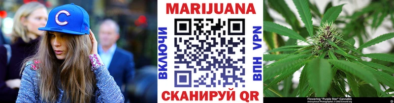 дарнет шоп  Верхняя Тура  shop наркотические препараты  Конопля сатива 